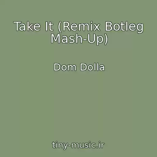 کاور آهنگ Take It (Remix Botleg Mash-Up) از Dom Dolla