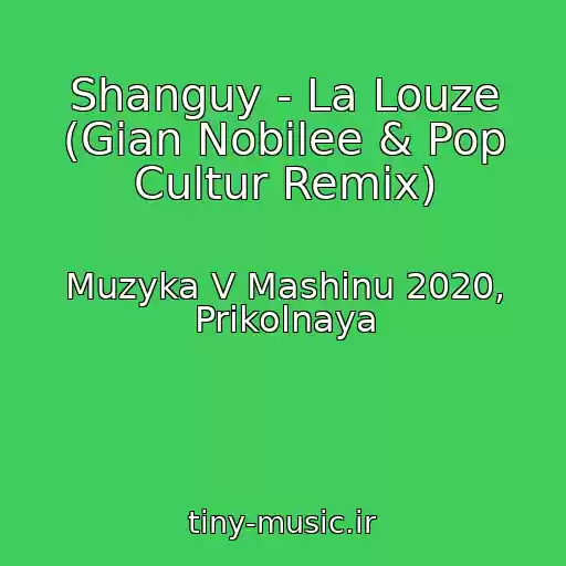 کاور آهنگ Shanguy - La Louze (Gian Nobilee & Pop Cultur Remix) از Muzyka V Mashinu 2020, Prikolnaya