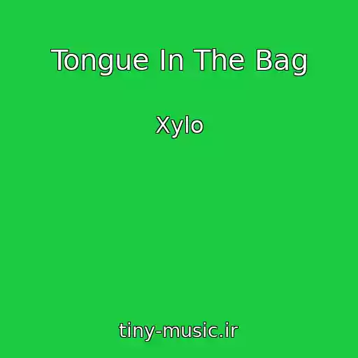 کاور آهنگ Tongue In The Bag از Xylo