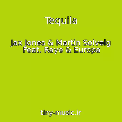 کاور آهنگ Tequila از Jax Jones & Martin Solveig Feat. Raye & Europa