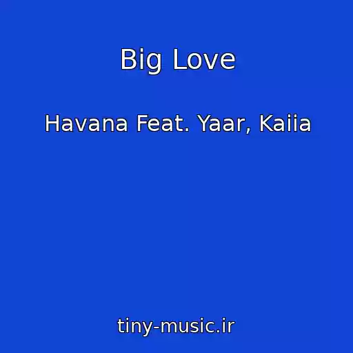 کاور آهنگ Big Love از Havana Feat. Yaar, Kaiia