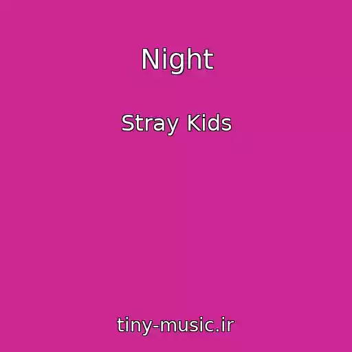 کاور آهنگ Night از Stray Kids
