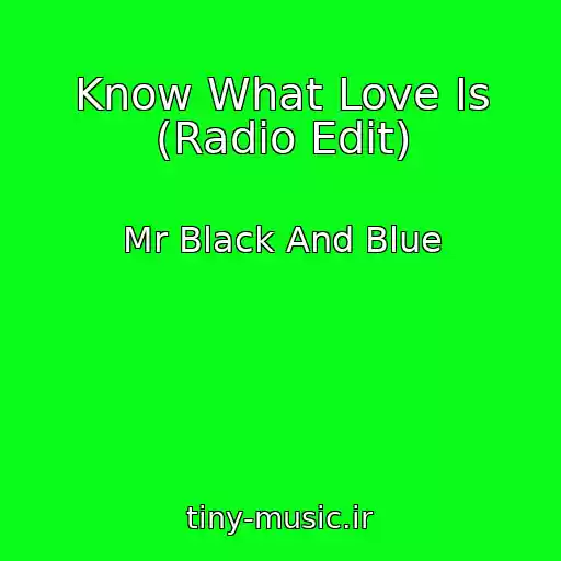 کاور آهنگ Know What Love Is (Radio Edit) از Mr Black And Blue