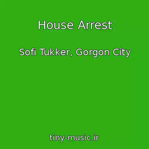 کاور آهنگ House Arrest از Sofi Tukker, Gorgon City