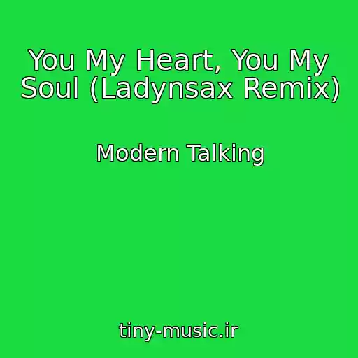 کاور آهنگ You My Heart, You My Soul (Ladynsax Remix) از Modern Talking