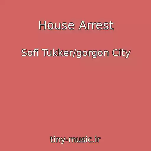 کاور آهنگ House Arrest از Sofi Tukker/gorgon City
