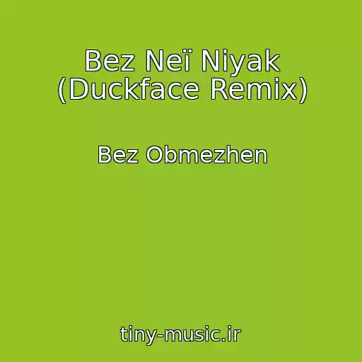کاور آهنگ Bez Neї Nіyak (Duckface Remix) از Bez Obmezhen