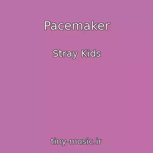 کاور آهنگ Pacemaker از Stray Kids