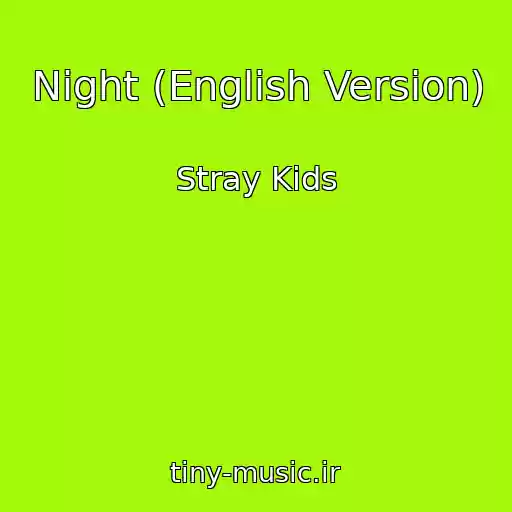 کاور آهنگ Night (English Version) از Stray Kids