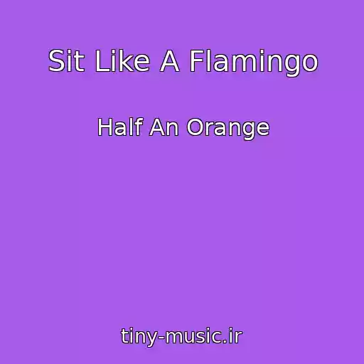 کاور آهنگ Sit Like A Flamingo از Half An Orange