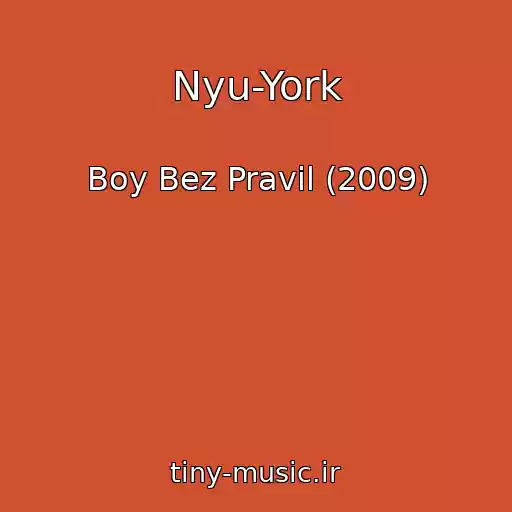 کاور آهنگ Nyu-York از Boy Bez Pravil (2009)