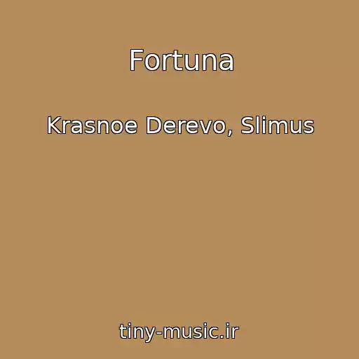 کاور آهنگ Fortuna از Krasnoe Derevo, Slimus
