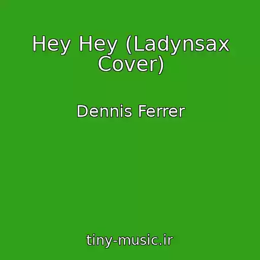 کاور آهنگ Hey Hey (Ladynsax Cover) از Dennis Ferrer