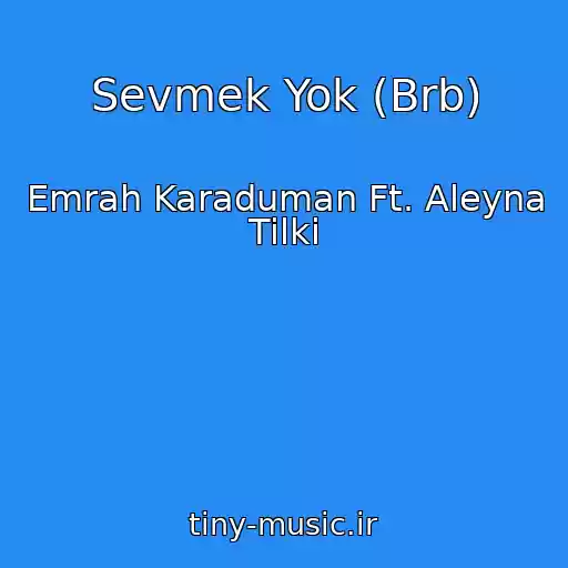 کاور آهنگ Sevmek Yok (Brb) از Emrah Karaduman Ft. Aleyna Tilki