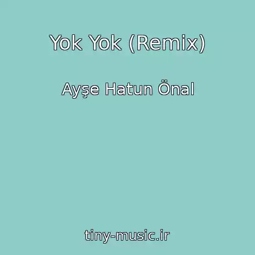 کاور آهنگ Yok Yok (Remix) از Ayşe Hatun Önal
