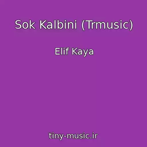 کاور آهنگ Sok Kalbini (Trmusic) از Elif Kaya