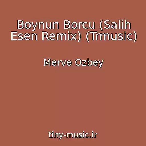 کاور آهنگ Boynun Borcu (Salih Esen Remix) (Trmusic) از Merve Ozbey