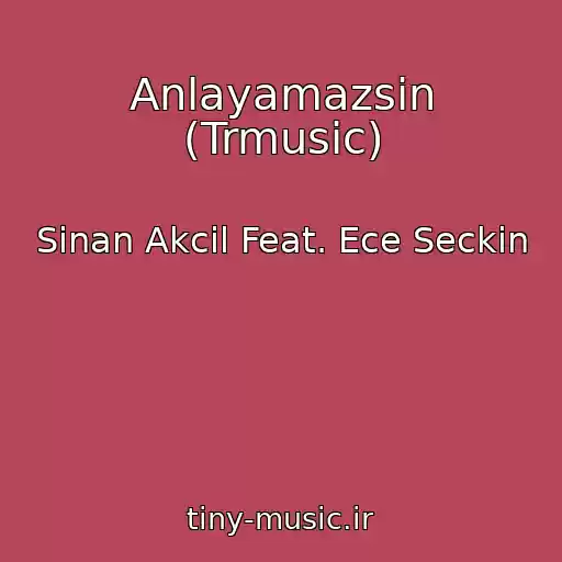 کاور آهنگ Anlayamazsin (Trmusic) از Sinan Akcil Feat. Ece Seckin