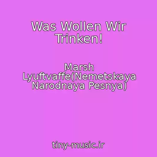 کاور آهنگ Was Wollen Wir Trinken! از Marsh Lyuftvaffe(Nemetskaya Narodnaya Pesnya)