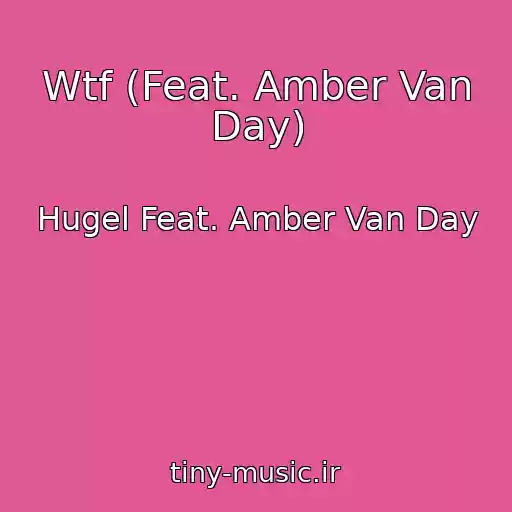 کاور آهنگ Wtf (Feat. Amber Van Day) از Hugel Feat. Amber Van Day