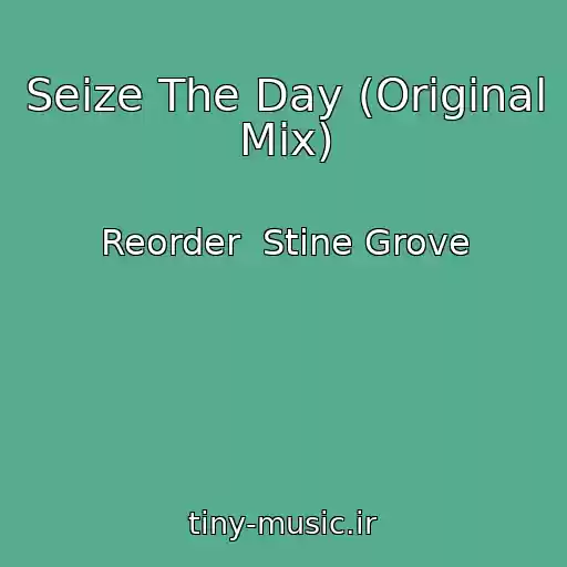 کاور آهنگ Seize The Day (Original Mix) از Reorder  Stine Grove