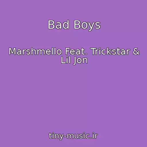 کاور آهنگ Bad Boys از Marshmello Feat. Trickstar & Lil Jon
