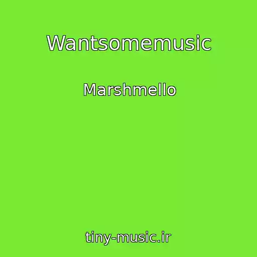 کاور آهنگ Wantsomemusic از Marshmello