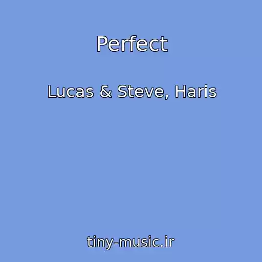 کاور آهنگ Perfect از Lucas & Steve, Haris