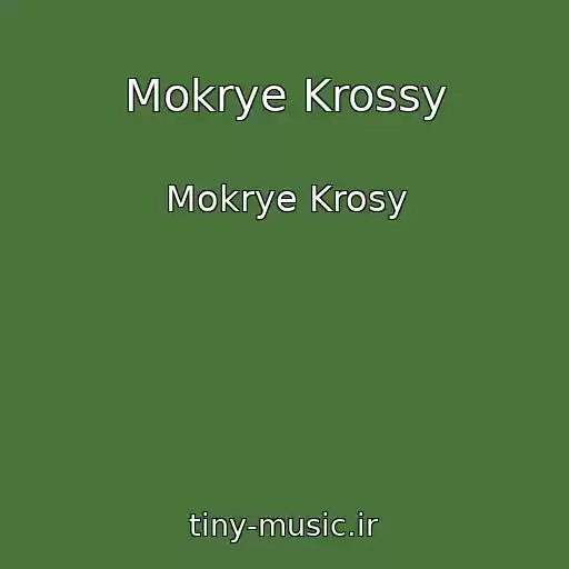 کاور آهنگ Mokrye Krossy از Mokrye Krosy