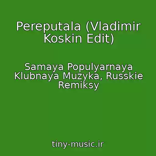 کاور آهنگ Pereputala (Vladimir Koskin Edit) از Samaya Populyarnaya Klubnaya Muzyka, Russkie Remiksy