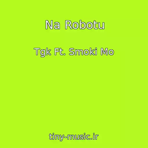 کاور آهنگ Na Robotu از Tgk Ft. Smoki Mo
