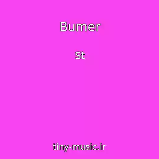 کاور آهنگ Bumer از St