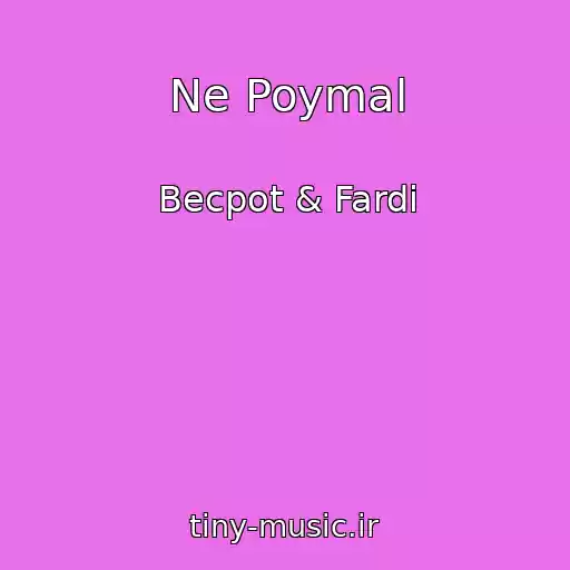 کاور آهنگ Ne Poymal از Becpot & Fardi