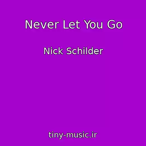 کاور آهنگ Never Let You Go از Nick Schilder