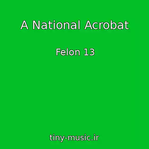 کاور آهنگ A National Acrobat از Felon 13