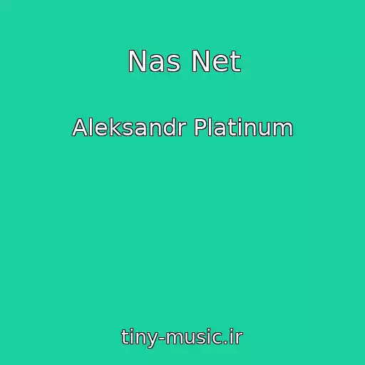 کاور آهنگ Nas Net از Aleksandr Platinum