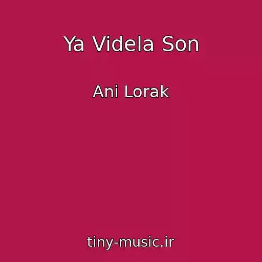 کاور آهنگ Ya Videla Son از Ani Lorak