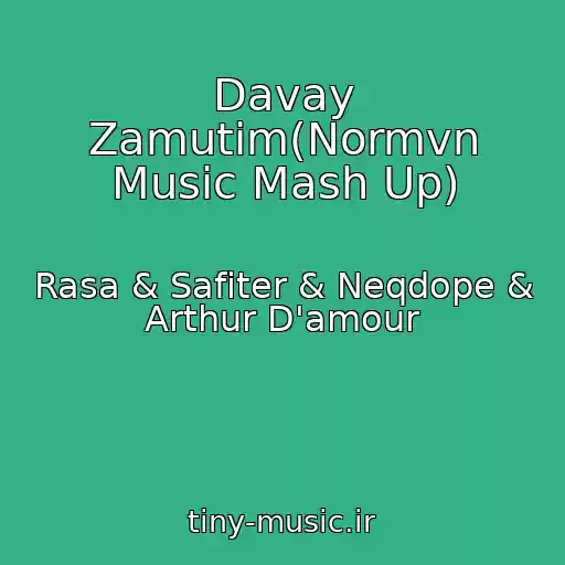 کاور آهنگ Davay Zamutim(Normvn Music Mash Up) از Rasa & Safiter & Neqdope & Arthur D'amour