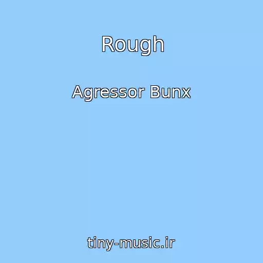 کاور آهنگ Rough از Agressor Bunx