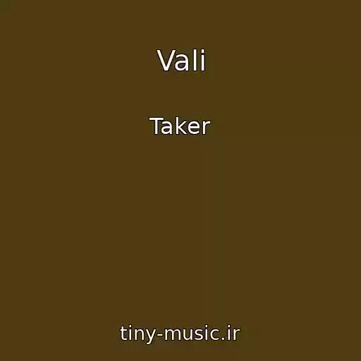 کاور آهنگ Vali از Taker