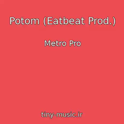 کاور آهنگ Potom (Eatbeat Prod.) از Metro Pro