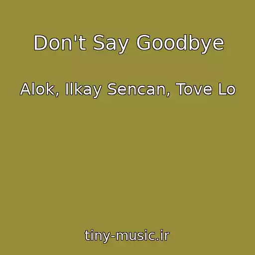 کاور آهنگ Don't Say Goodbye از Alok, Ilkay Sencan, Tove Lo