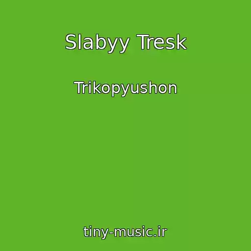 کاور آهنگ Slabyy Tresk از Trikopyushon