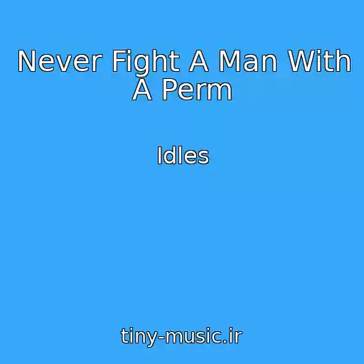 کاور آهنگ Never Fight A Man With A Perm از Idles