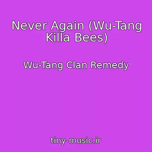 کاور آهنگ Never Again (Wu-Tang Killa Bees) از Wu-Tang Clan Remedy