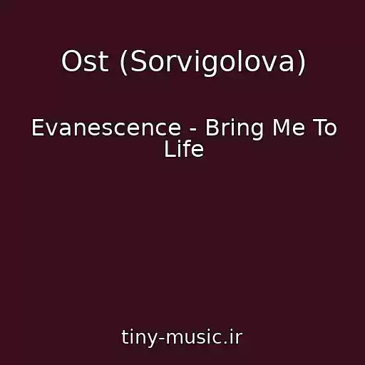 کاور آهنگ Ost (Sorvigolova) از Evanescence - Bring Me To Life