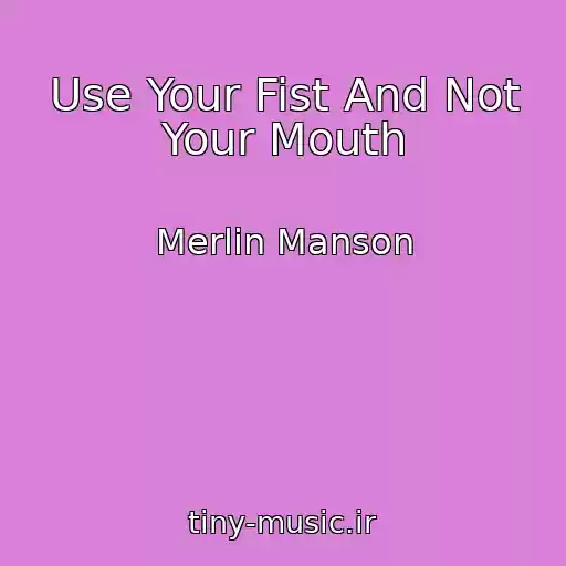 کاور آهنگ Use Your Fist And Not Your Mouth از Merlin Manson