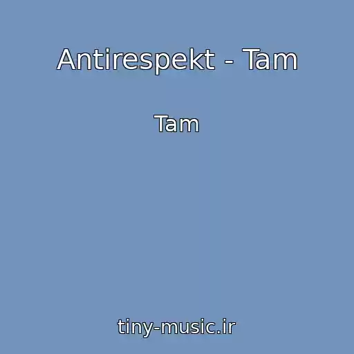 کاور آهنگ Antirespekt - Tam از Tam