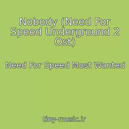 کاور آهنگ Nobody (Need For Speed Underground 2 Ost) از Need For Speed Most Wanted