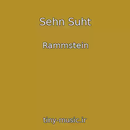 کاور آهنگ Sehn Suht از Rammstein